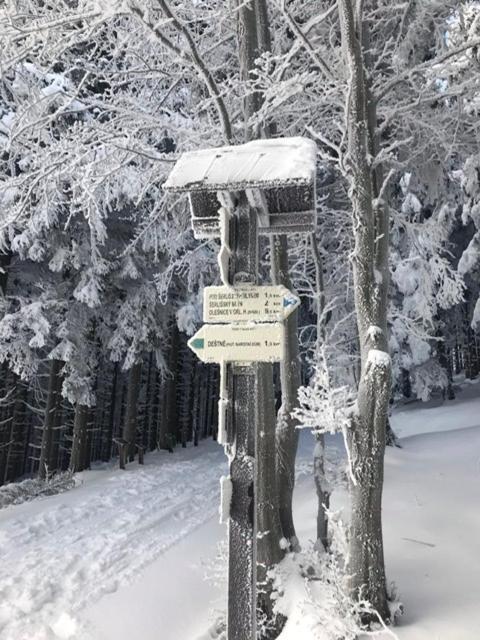 Ubytovani U Potoka Дештне в Орлицких горах Экстерьер фото