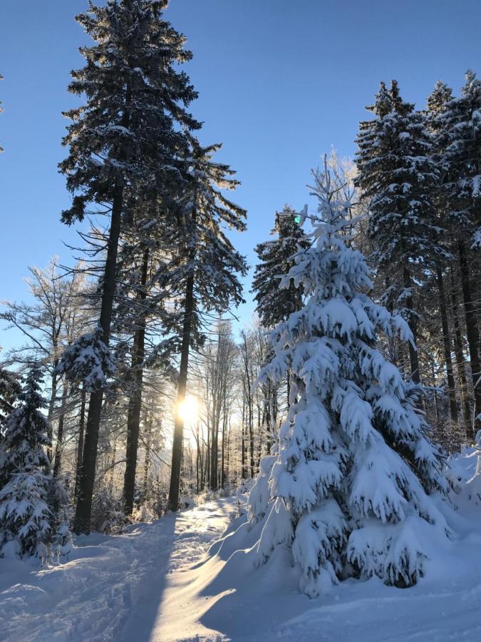 Ubytovani U Potoka Дештне в Орлицких горах Экстерьер фото